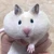 らむた
