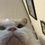 ふーか