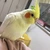 阿部迅人