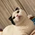 ターニャ