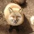 ひぐち