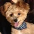 chichichi