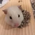 うり