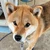けーすけ