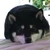 なび