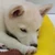 おくぬ