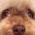 ぬー