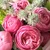 Flower0404