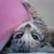 MewcoSan
