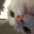 www