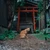 こーすけ