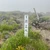 yukachangpong
