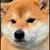 柴野いぬ