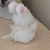 くも