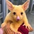 イーエム