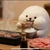 popopo_movie