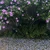 userWAdeoVrB7tw