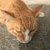 ゆーすけ
