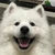 みるぽっか
