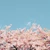しおり