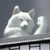 いっぬ
