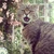 nekotube