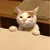 うこん