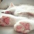 ささ