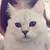 佐野綾香