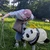かたまいまい