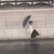くるみ