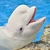 beluga_4