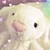 おじうさ