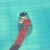 ne