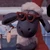 shaun.