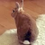 ぽるぽと