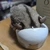 ほべー
