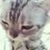 むーらお