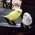 りんごあめ