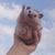 さき