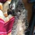 もこ