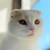 まるやま