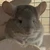 ゆり