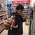 takeshi