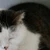 さちこ
