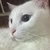 かがり