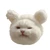 あかり