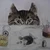 ふう