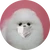 こなつ