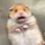 とみこ